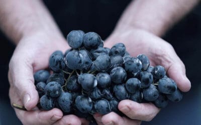 Brillanter Klang ⭐